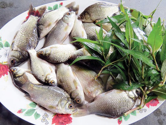   Tỏi tránh kết hợp với cá diếc: Vì có thể làm tăng co giật đường tiêu hóa  