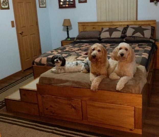   Chiếc giường nhỏ xinh cho thú cưng gắn với giường ngủ của bạn  
