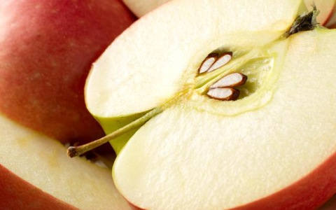   Hạt của loại trái cây này có khả năng chuyển đổi thành chất độc xyanua khi bị nghiền nát.  