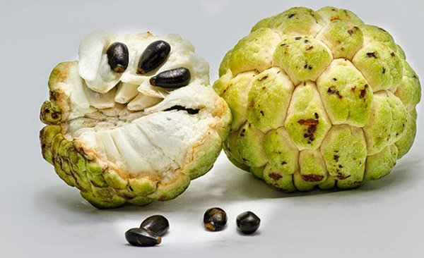   Na là loại trái cây thơm ngon, dễ ăn và rất bổ dưỡng nhưng hạt của chúng lại chứa chất cực độc  