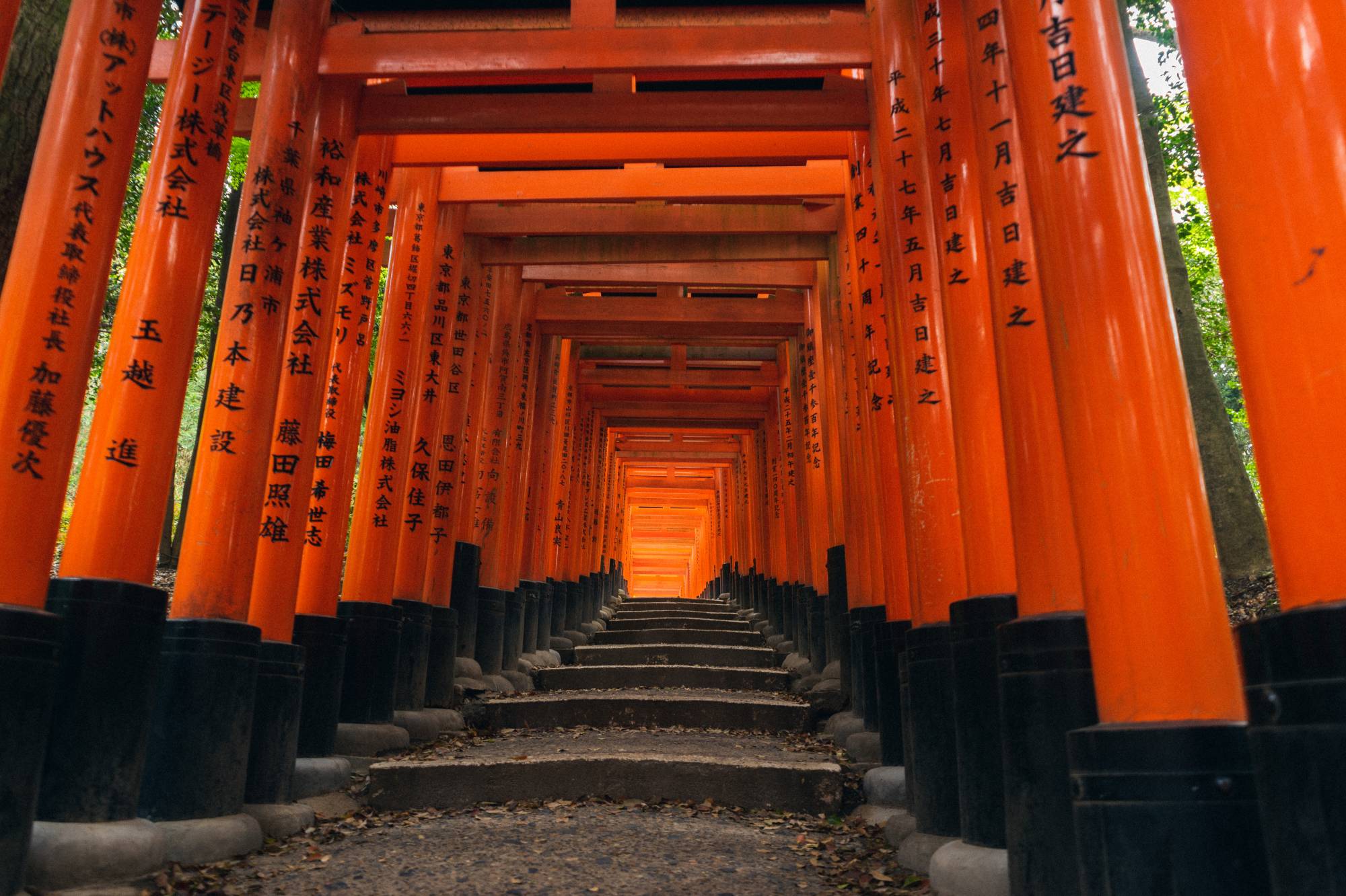 Mê mẩn hình ảnh yên bình của thành phố Kyoto, Nhật Bản những ngày vắng khách du lịch 1