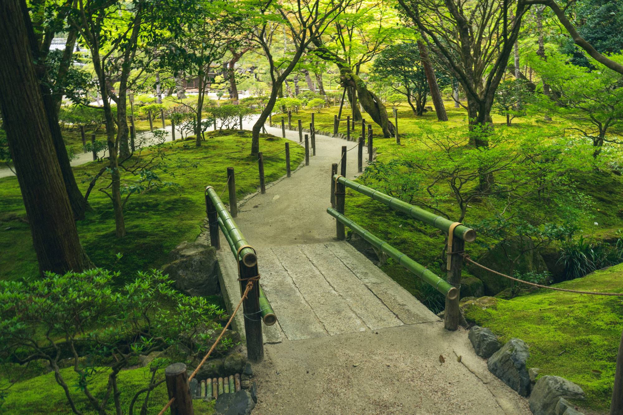 Mê mẩn hình ảnh yên bình của thành phố Kyoto, Nhật Bản những ngày vắng khách du lịch 4
