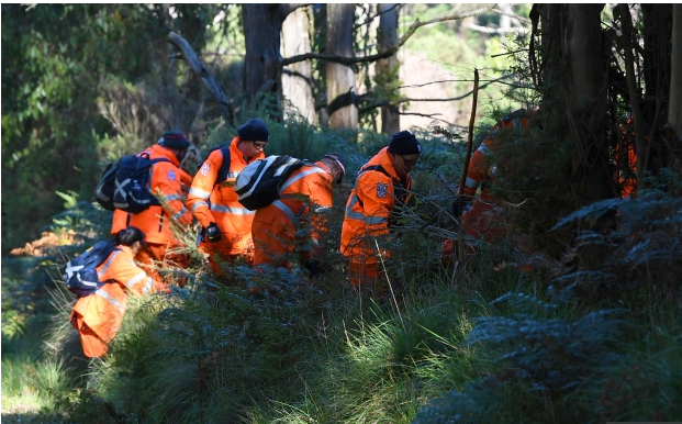  Các tình nguyện viên tìm kiếm Williams trong rừng rậm  