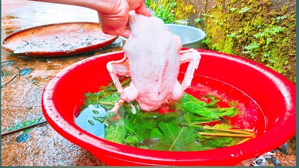 Cách làm lông vịt nhanh nhất, sạch sẽ lông măng, khử hết mùi hôi chỉ chưa đầy 15 phút 3