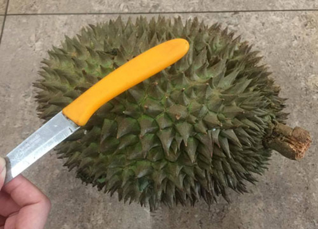 Cách chọn sầu riêng cực chuẩn, quả già, cơm vàng ươm, thơm nức, không lo nhúng thuốc 4