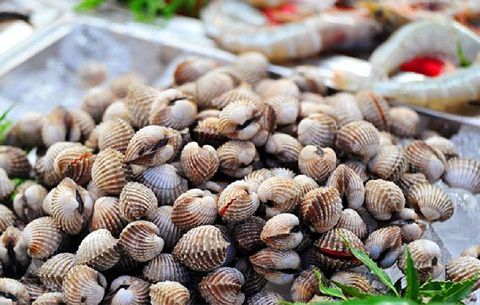 Sò là thực phẩm giàu chất sắt nhất trong các loại hải sản