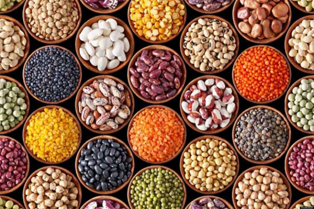 chất molypden trong các lại đỗ còn có khả năng giúp cơ thể hấp thụ chất sắt