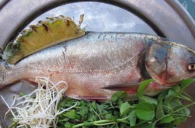   Cá mè hoa là loại cá dân dã rẻ tiền nhưng chứa hàm lượng dinh dưỡng cao  