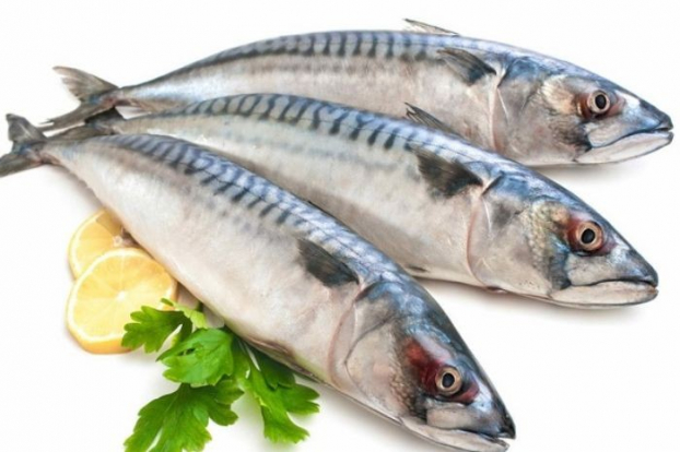   Cá nục lại chứa rất ít chất béo và hàm lượng cholesterol thấp  