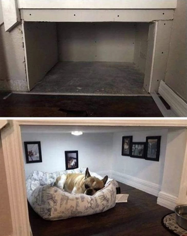  Ngôi nhà nhỏ cho thú cưng  