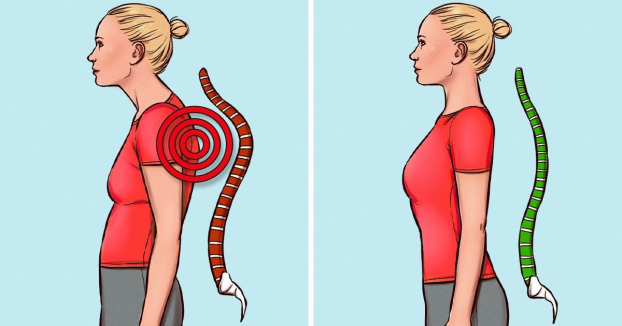 4 bài tập đơn giản giúp cải thiện vóc dáng và giảm đau lưng hiệu quả 0