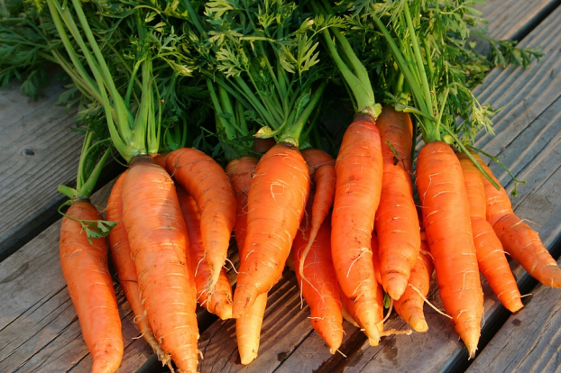   Củ cà rốt dùng làm thuốc chữa bệnh  