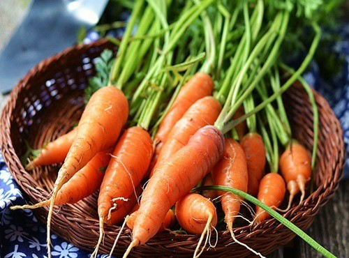   Cà rốt là thực phẩm rất tốt cho bệnh nhân tiểu đường  