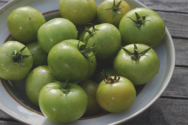   Cà chua xanh có chứa một lượng lớn các yếu tố 'alkaloid'  