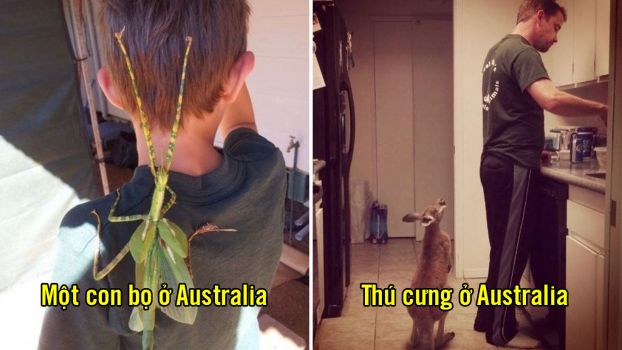 19 bức ảnh kỳ lạ chứng minh Australia là quốc gia 'lộn ngược' 0