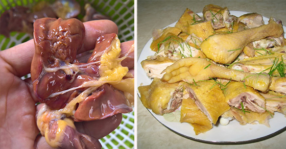   3 bộ phận của gà tưởng ngon nhưng rất độc, người Việt vẫn ăn hàng ngày mà không biết  