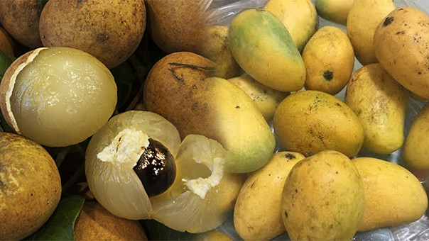   7 loại trái cây cực độc với người bị tiểu đường, càng ăn bệnh càng tăng nặng  