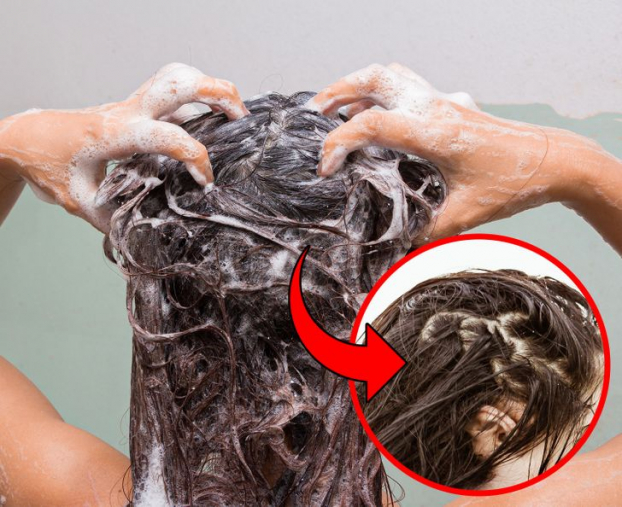 8 sai lầm khi gội đầu bạn có thể đang mắc phải khiến tóc khô xơ, nhanh bết 5