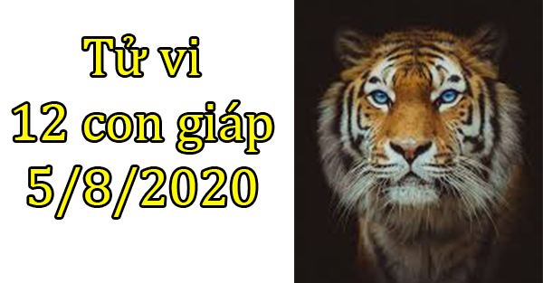   Tử vi 12 con giáp hôm nay 5/8: Tuổi Dần nhiều tin vui, tuổi Thìn nhiều lo lắng  