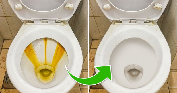 5 cách tẩy trắng nhà vệ sinh sạch bong kin kít không cần dùng hóa chất độc hại 0