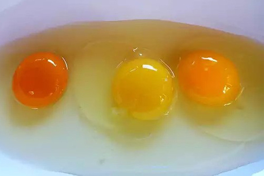 5 cách ăn trứng 'hạ độc' chính mình nhiều người mắc phải 0