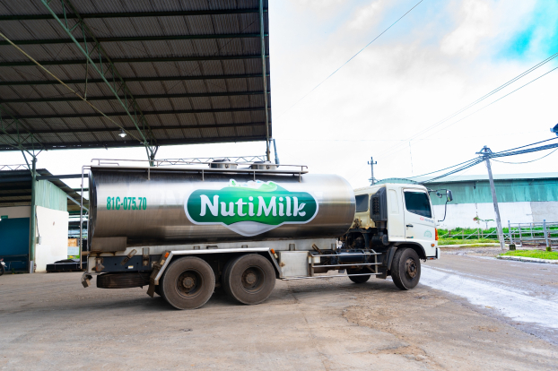   Xe chở sữa từ trang trại về nhà máy  