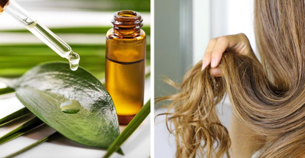 6 nguyên liệu tự nhiên thay thế dầu gội đầu giúp tóc khỏe, đẹp không cần hóa chất 6