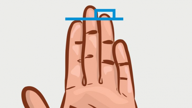 3 hình thái của ngón tay đeo nhẫn tiết lộ tính cách thật sự con người bạn 0
