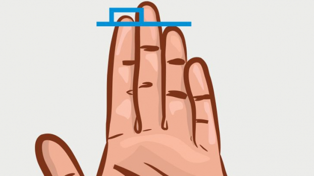 3 hình thái của ngón tay đeo nhẫn tiết lộ tính cách thật sự con người bạn 1