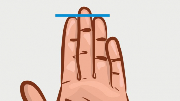 3 hình thái của ngón tay đeo nhẫn tiết lộ tính cách thật sự con người bạn 2