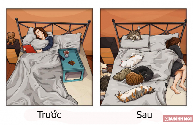 20 bức tranh hài hước minh họa cực chuẩn sự khác biệt trước và sau khi nuôi thú cưng 4