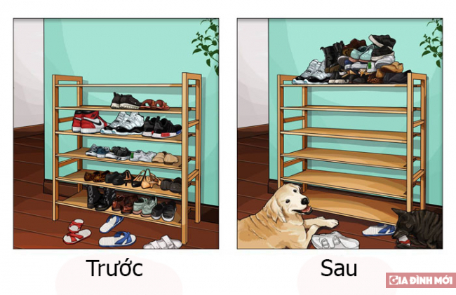 20 bức tranh hài hước minh họa cực chuẩn sự khác biệt trước và sau khi nuôi thú cưng 11
