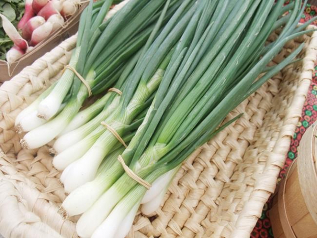 Cách trồng 5 loại cây gia vị hay dùng mà chẳng cần hạt giống, vừa tiết kiệm lại an toàn 11