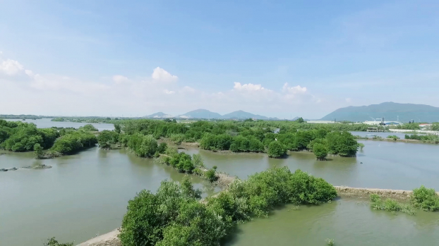Hành trình 9 năm trồng cây, Vinamilk đã góp phần chống ô nhiễm môi trường cho Việt Nam 0