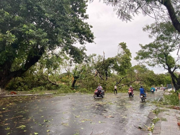 Miền Trung thiệt hại nặng nề do bão số 5, nhà cửa tốc mái, cây đổ đầy đường 9