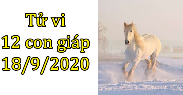   Tử vi 12 con giáp hôm nay 18/9: Tuổi Ngọ gặp mâu thuẫn, tuổi Hợi được nâng đỡ  