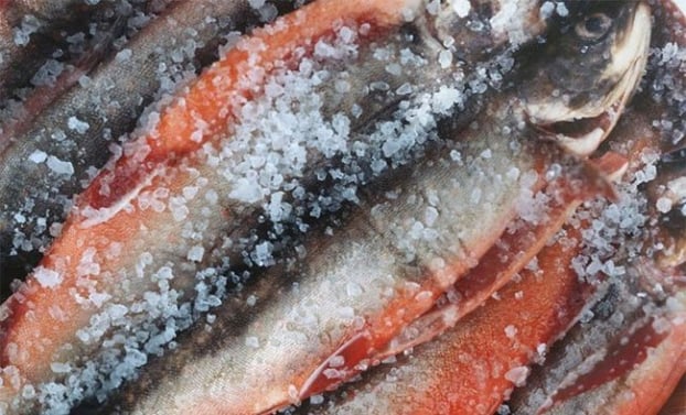 Ăn cá rất tốt cho sức khỏe nhưng có 3 loại cá ăn nhiều dễ hỏng não lại gây ung thư 0