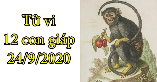 Tử vi 12 con giáp hôm nay 24/9: Tuổi Thân công danh rộng mở, tuổi Dậu có phần khó khăn