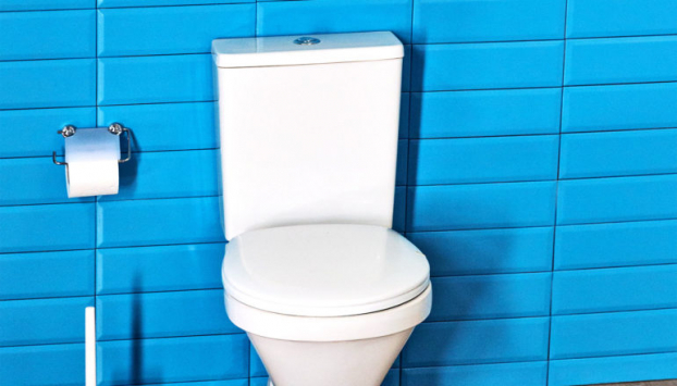 Vì sao toilet thường có màu trắng? 4