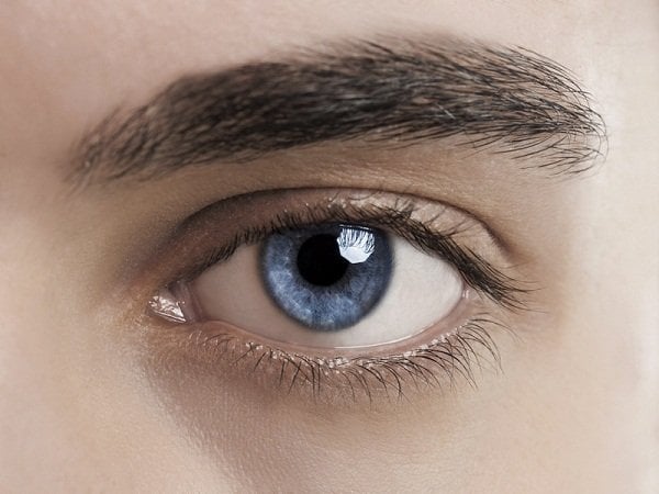   Do có nồng độ hormone estrogen cao hơn nên phụ nữ chớp mắt nhiều gần gấp 2 lần đàn ông. Mắt thực hiện hoạt động khoảng 100.000 chuyển động mỗi ngày, và nháy trung bình 6.205.000 lần mỗi năm.  