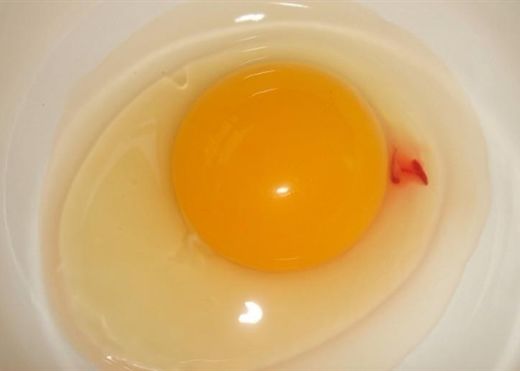Đập trứng ra bát thấy có vệt đỏ như máu, nên ăn tiếp hay bỏ đi 0