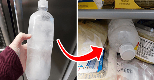 4 cách bảo quản thực phẩm trong tủ lạnh tươi lâu khi mất điện 1