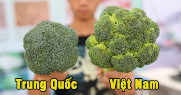 20 cách phân biệt thực phẩm Trung Quốc và Việt Nam, biết để bảo vệ sức khỏe cả gia đình 1