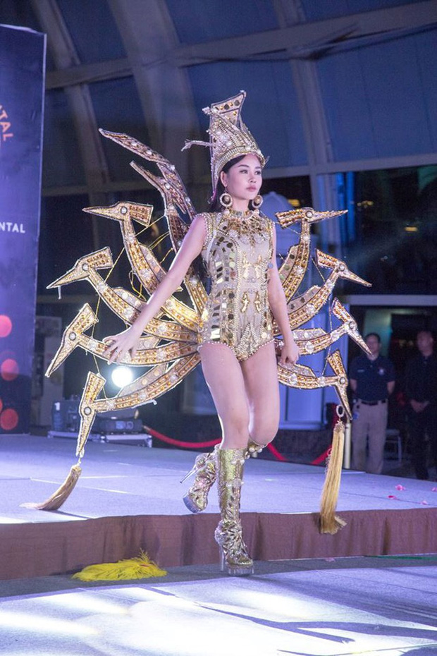 5 trang phục gây tranh cãi tại các cuộc thi hoa hậu: Đại diện Việt Nam khiến fan đỏ mặt 8