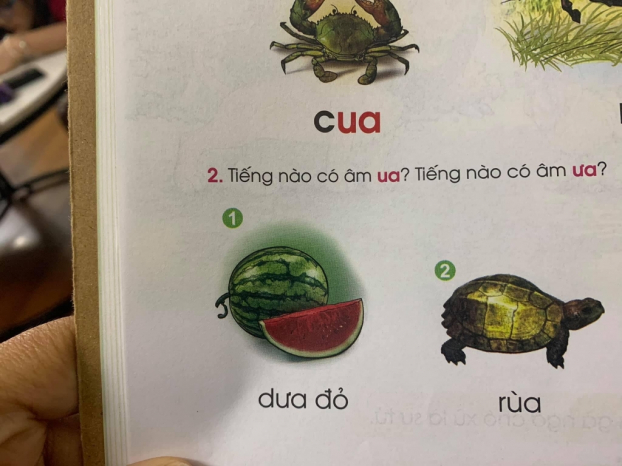   Sách Tiếng Việt 1 bộ Cánh Diều đang bị phụ huynh chê bởi sử dụng những từ khó hiểu và không đúng.  
