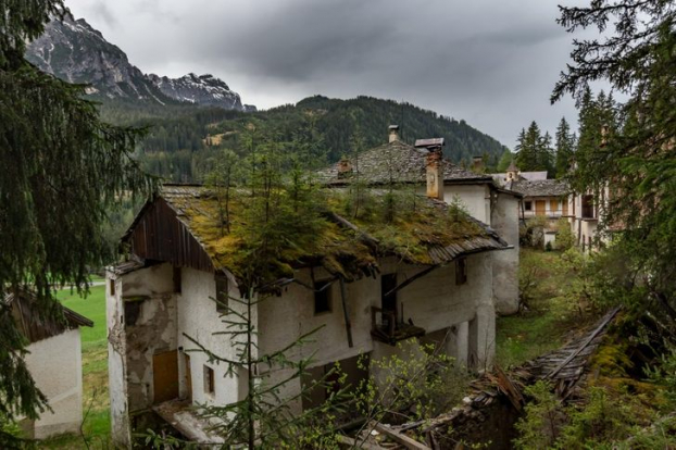   Một khu rừng bị bỏ quên trên mái nhà của căn biệt thự bị bỏ quên ở Italy  