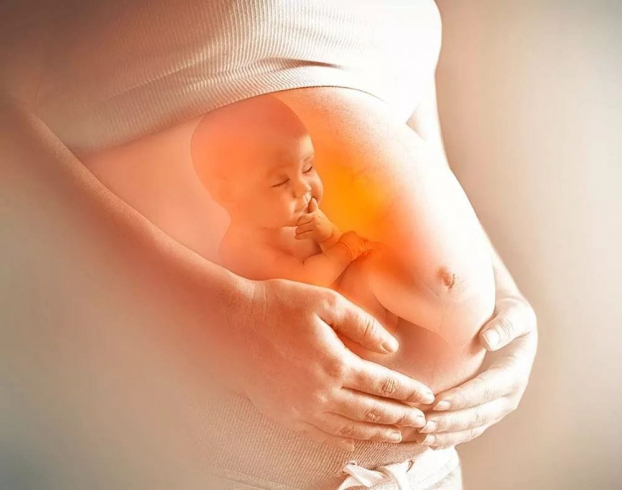  Trong thời kỳ mang thai, mẹ bầu cần duy trì khám thai đều đặn để phát hiện sớm các bất thường. Ảnh minh họa  
