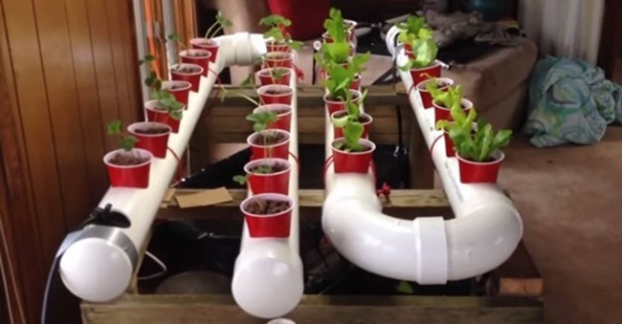 12 cách trồng cây trong ống nhựa, vừa đẹp, vừa sang lại tiết kiệm không gian 11