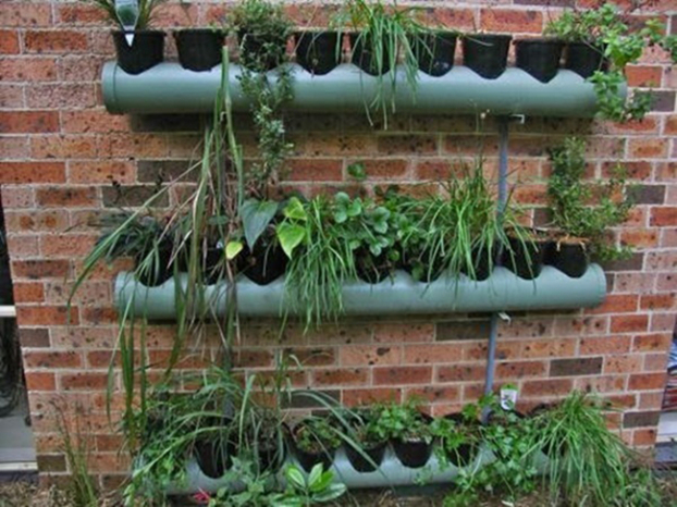 12 cách trồng cây trong ống nhựa, vừa đẹp, vừa sang lại tiết kiệm không gian 6