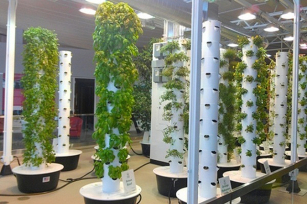 12 cách trồng cây trong ống nhựa, vừa đẹp, vừa sang lại tiết kiệm không gian 8
